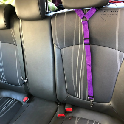 LockLeash Pet Car Seat