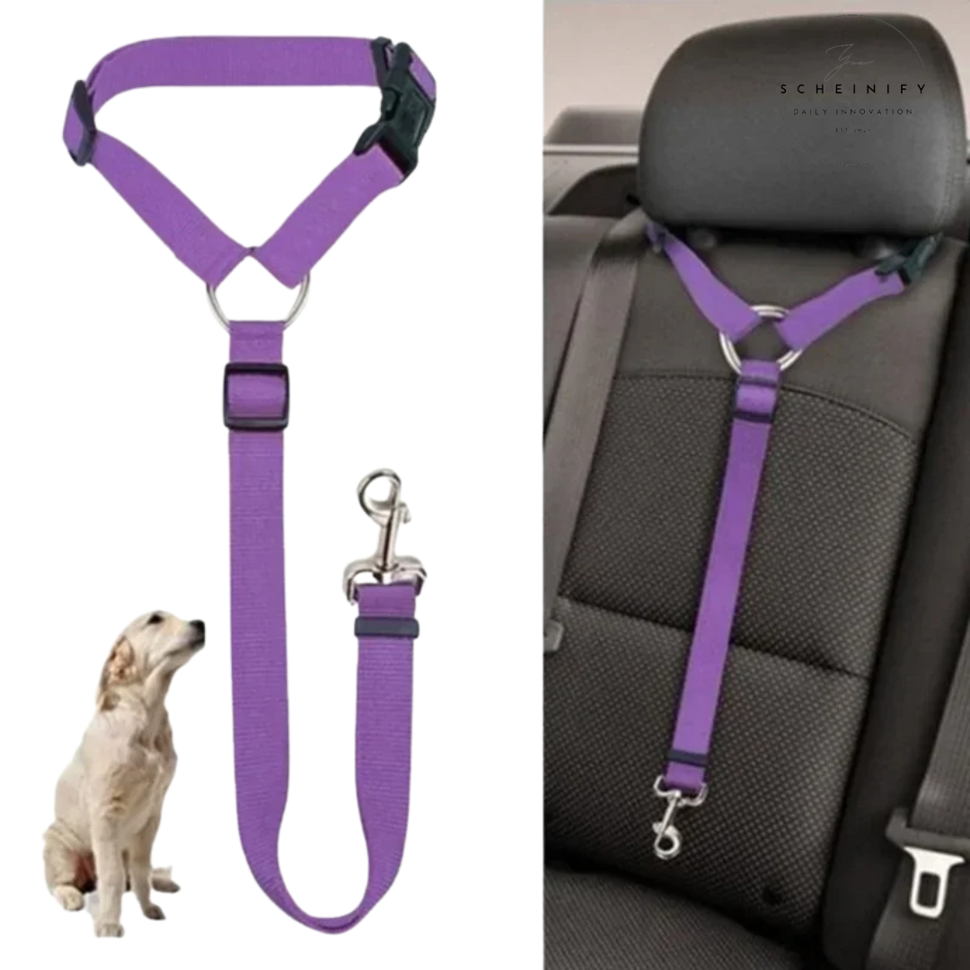 LockLeash Pet Car Seat