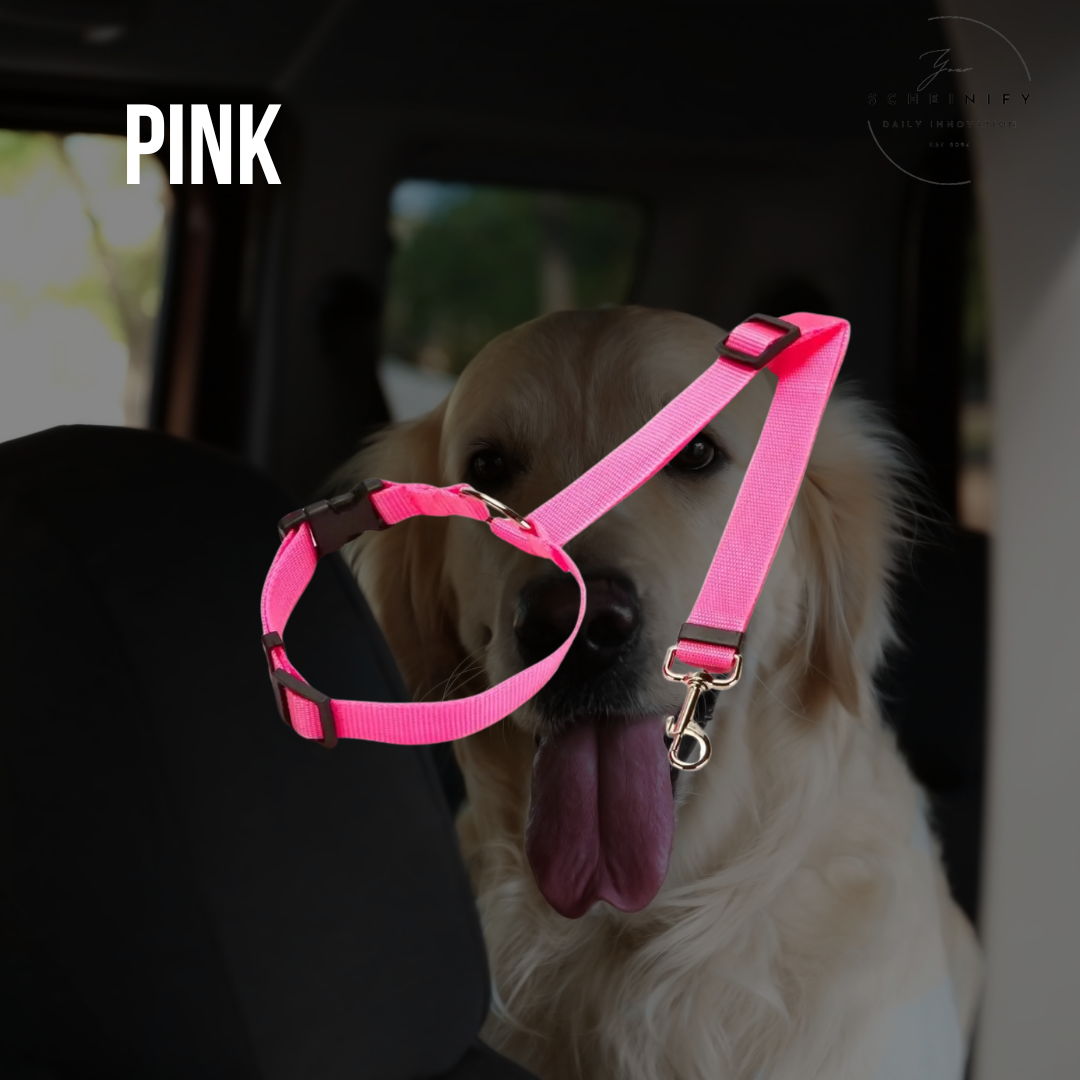 LockLeash Pet Car Seat